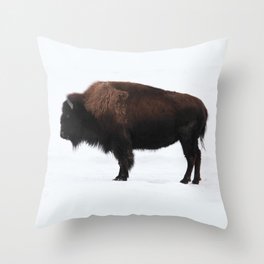 Bison Throw Pillow