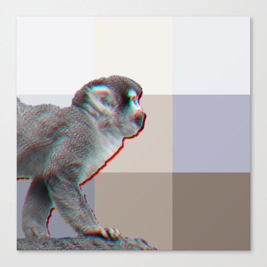 MONKEY Canvas Print