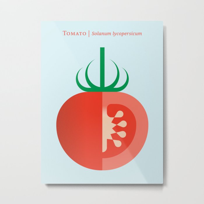 Vegetable: Tomato Metal Print
