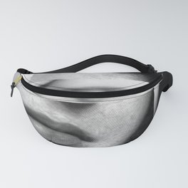 The Unreality of Imagining Fanny Pack
