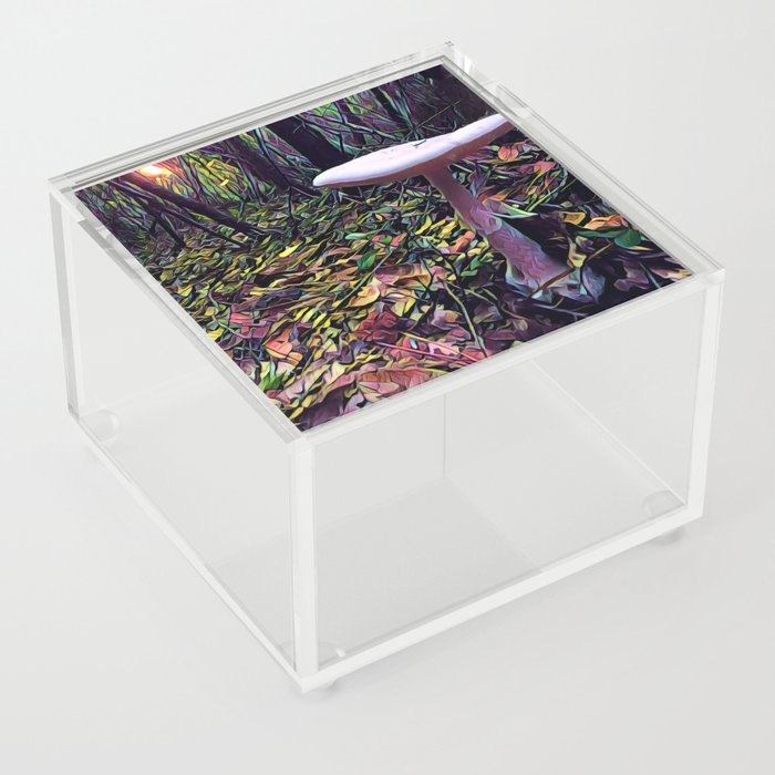 Swamp Ghost Acrylic Box