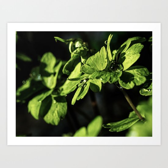offerings Art Print
