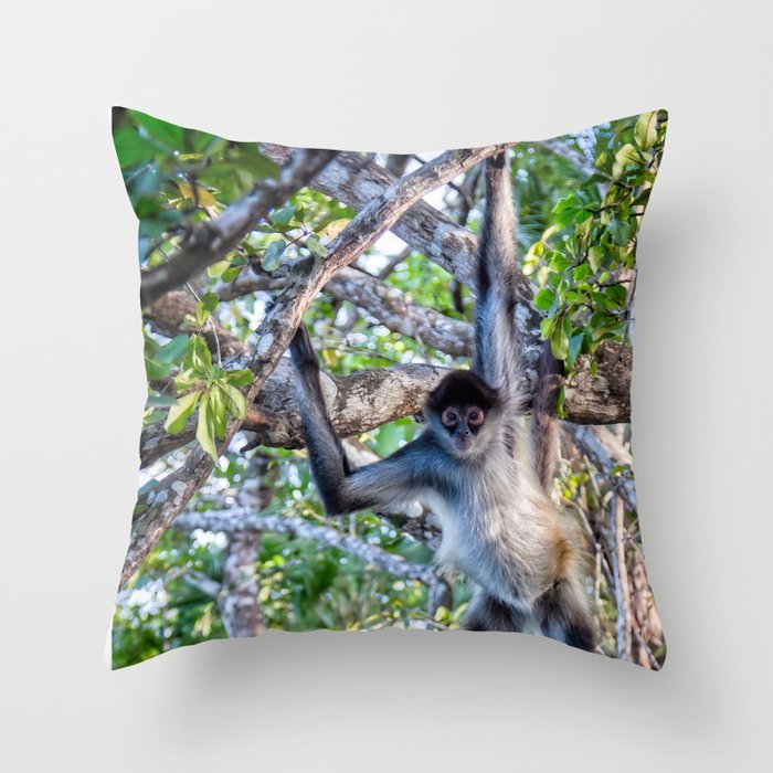 This is my world Throw Pillow