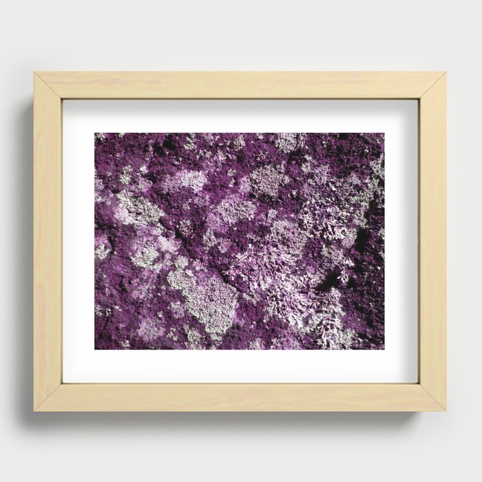 Purple Moss Recessed Framed Print