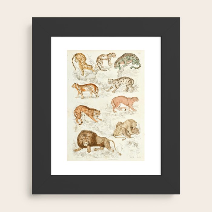 Framed Art Print