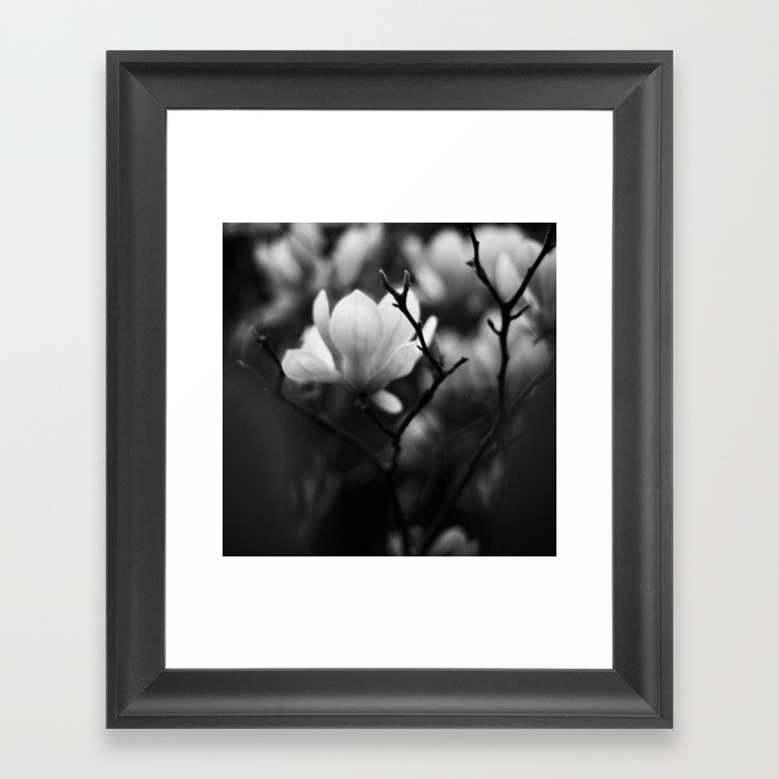  Flower in Black and White Framed Art Print