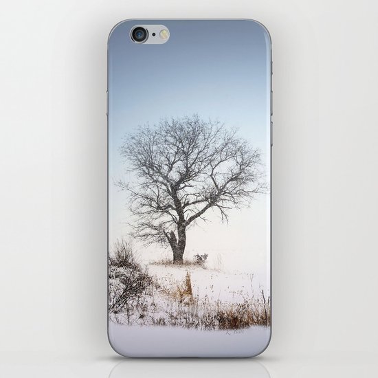 Winter Landscape iPhone & iPod Skin