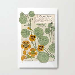 Maurice Verneuil - Capucine - botanical poster Metal Print | Vintage, Artprint, Floralprint, Mural, Verneuil, French, Blue, Floral, Educational, Botanicalprint 