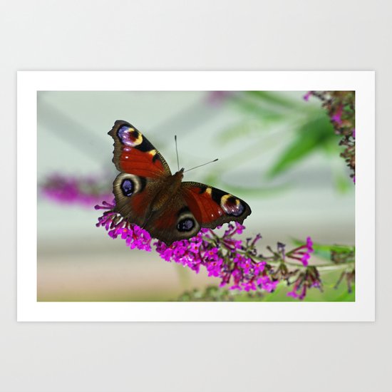 Butterfly Impression Art Print