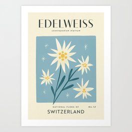 Edelweiss of Switzerland | Matisse-Style Vintage Floral Print | Blue & White Art Print