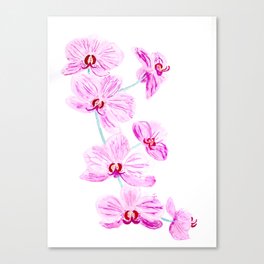 Pink, Orchid, Flowers, Floral, watercolor Canvas Print