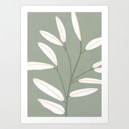 Mid Century Modern Artwork, Plant Leaves, Sage Green 1 Art Print