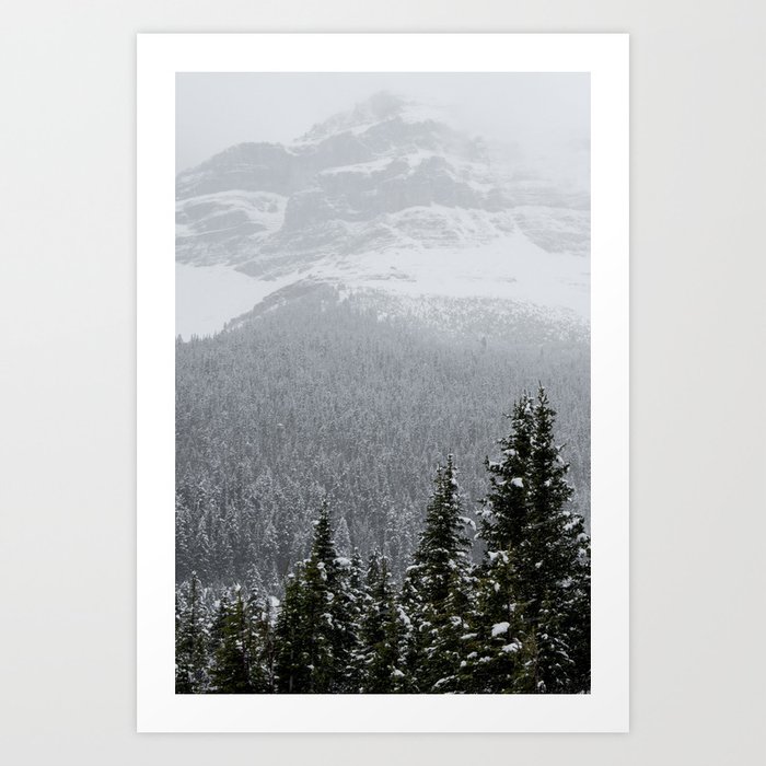 Pine Trees | Mountains | Alberta | Canada | Landscape Art Print