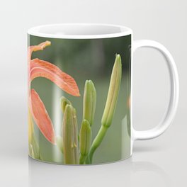lily bloom and 9 buds Coffee Mug