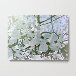 Dogwood 15 #easter Metal Print | Easter, Flower, Season, Christ, Plant, Blossom, Dogwood, Garden, Poem, Nature 