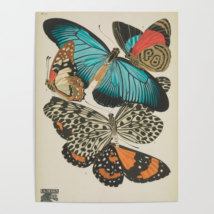 E.A.Séguy - Papillons / Butterflies (1925) Plate 11 Poster
