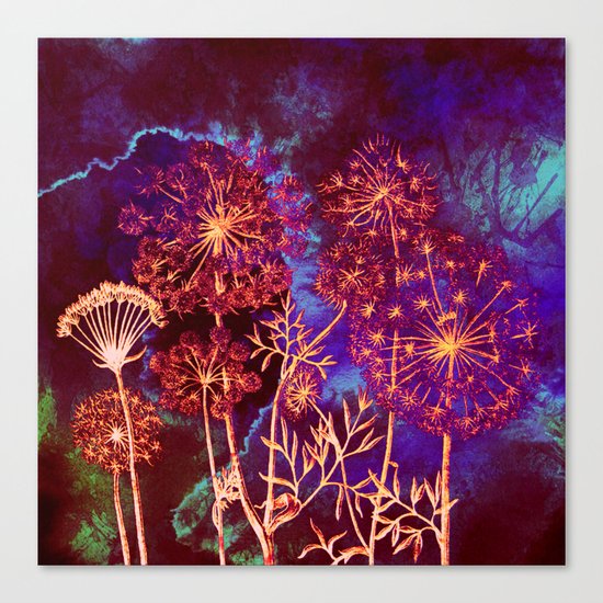 dandelions in the storm Canvas Print