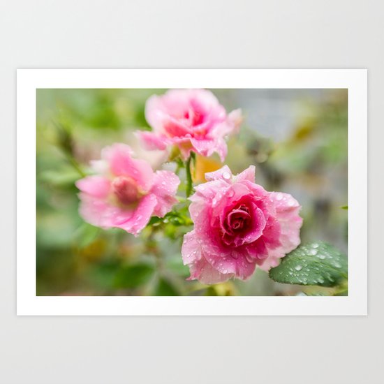 Rain on Those Petals of Yours Art Print