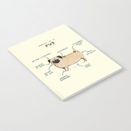 Anatomy of a Pug Notebook