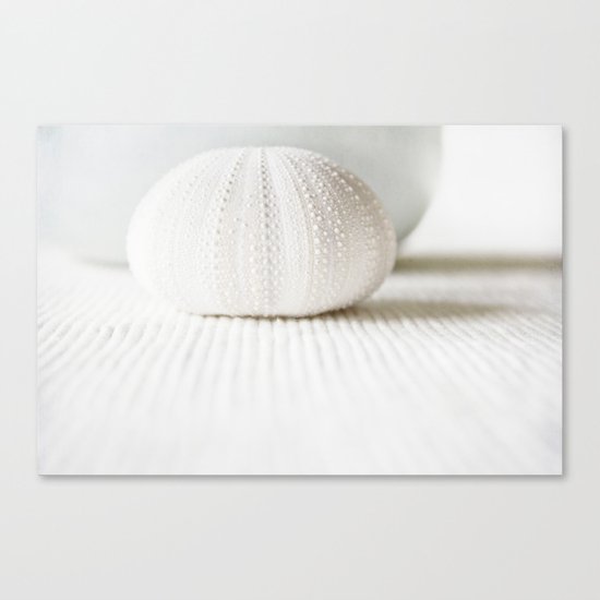 sea urchin Canvas Print