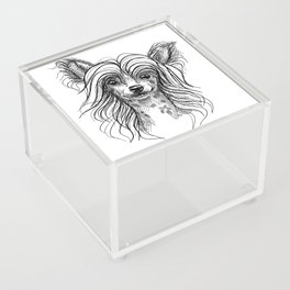 Cute little Chinese crested puppy. Acrylic Box