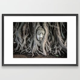 Buddha Framed Art Print