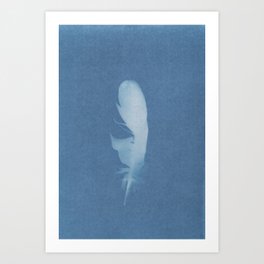 Single Feather Cyanotype Art Print