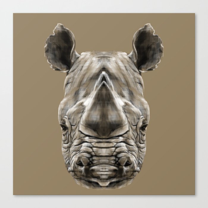 Rhino Sym Canvas Print