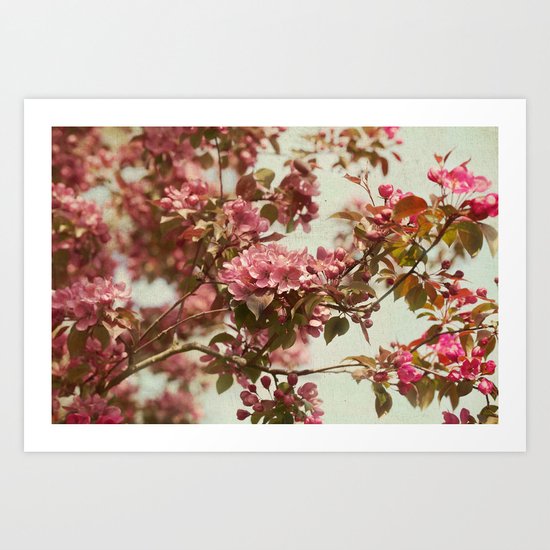 Blossom Art Print