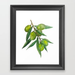 Watercolor Olive Branch Framed Art Print