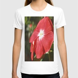 Close Up Of A Red Busy Lizzie Flower T-shirt