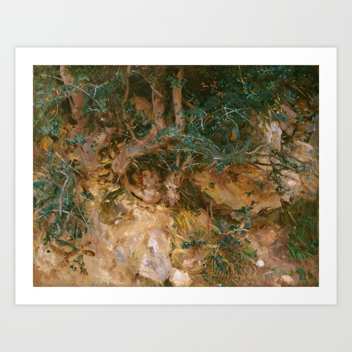 Valdemosa, Majorca: Thistles and Herbage on a Hillside, 19 Art Print