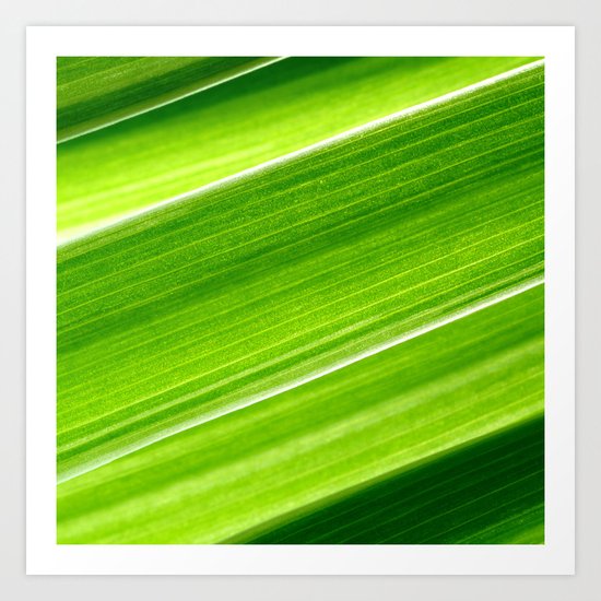 green grass IV Art Print
