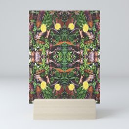 Dandelion - Taraxacum officinalis Mini Art Print