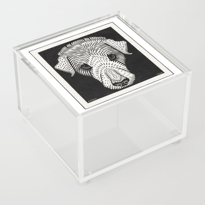 Dog's Head Mori de Graag - Black And White Dog Reproduction Acrylic Box