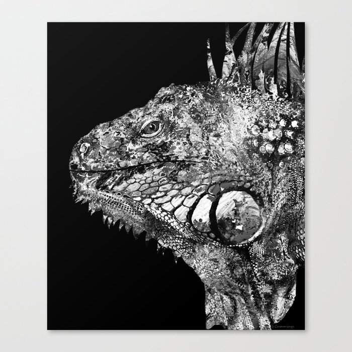 Black And White Iguana Art - One Cool Dude 2 - Sharon Cummings Canvas Print