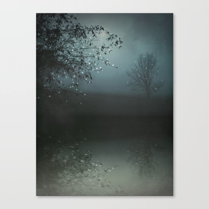 Song of the Nightbird Canvas Print