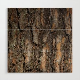 Pine bark close-up Wood Wall Art
