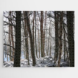 Birch and Pine Trees Amongst the Snow Jigsaw Puzzle