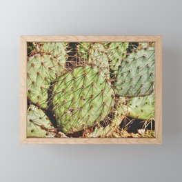 Desert Cactus Detail Framed Mini Art Print