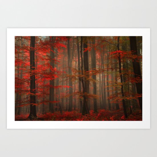 Enchanting Red Art Print