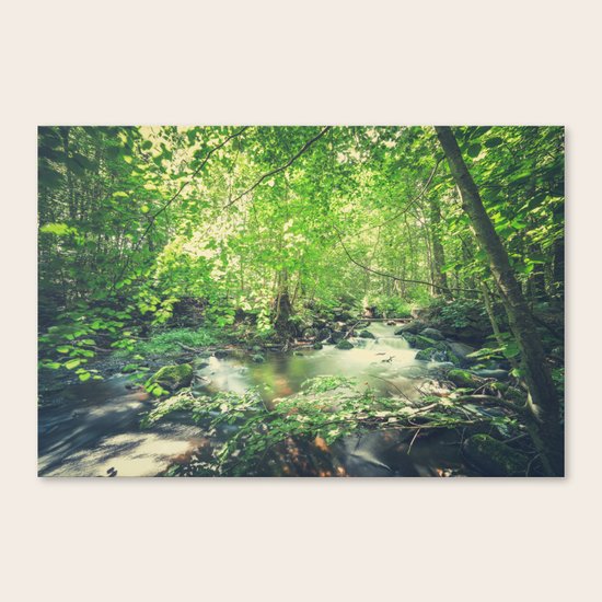 Peekaboo 4 Canvas Print
