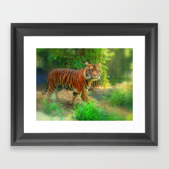 Tiger Tiger Framed Art Print