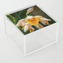 Glorious Bloom Acrylic Box