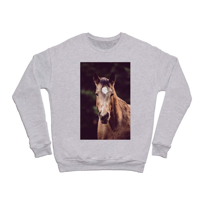 Wild Horses - Animal Photography Crewneck Sweatshirt