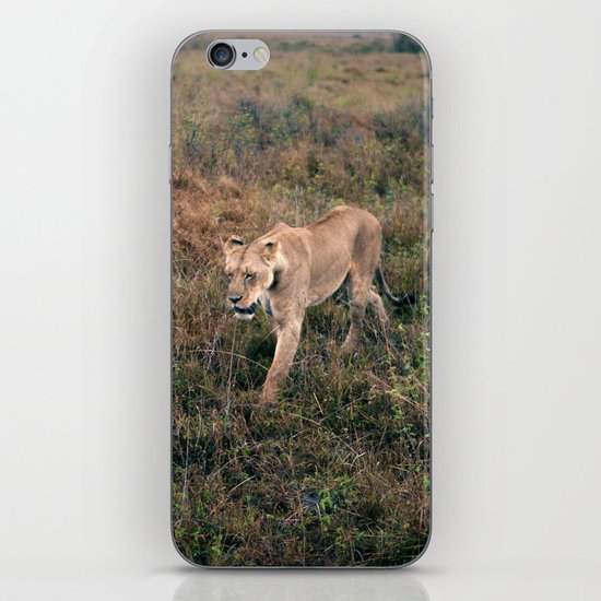 Lone Lion. iPhone & iPod Skin