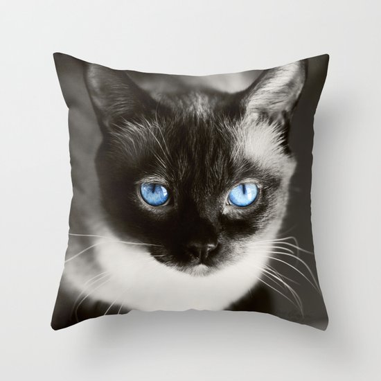 Stoney Blue Throw Pillow