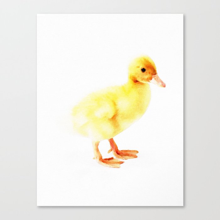 Canvas Print