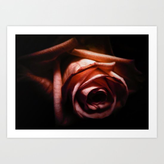 Rose Art Print