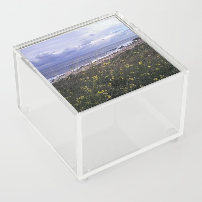 Like a fairytale Acrylic Box